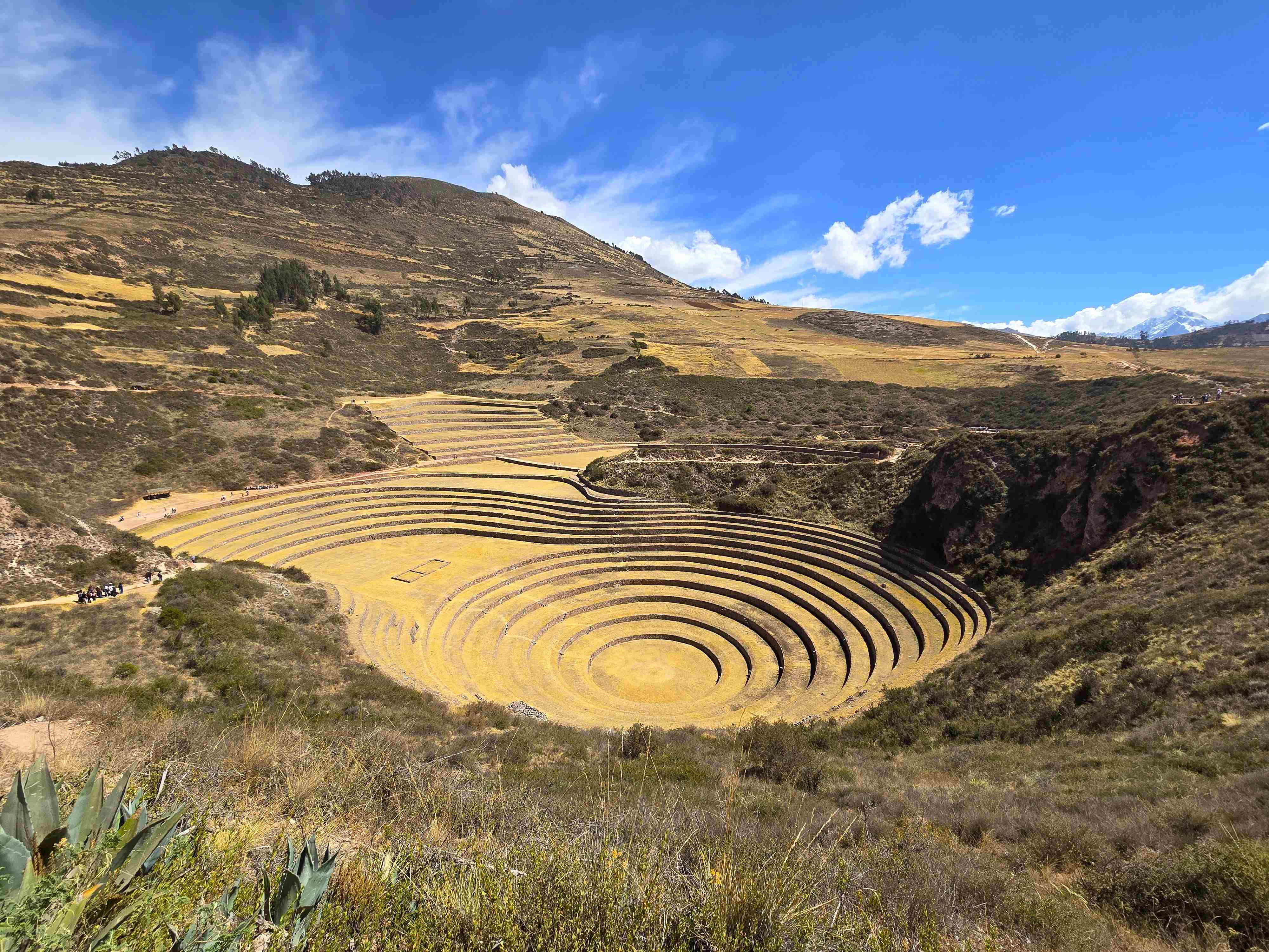 Moray Tour
