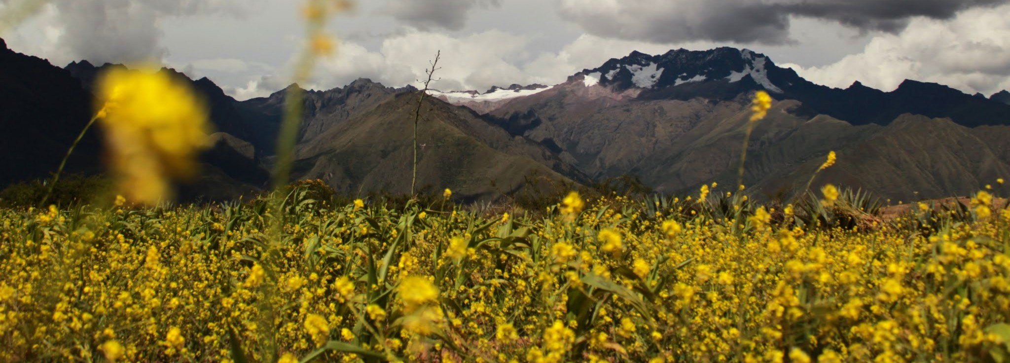 Valle Sagrado